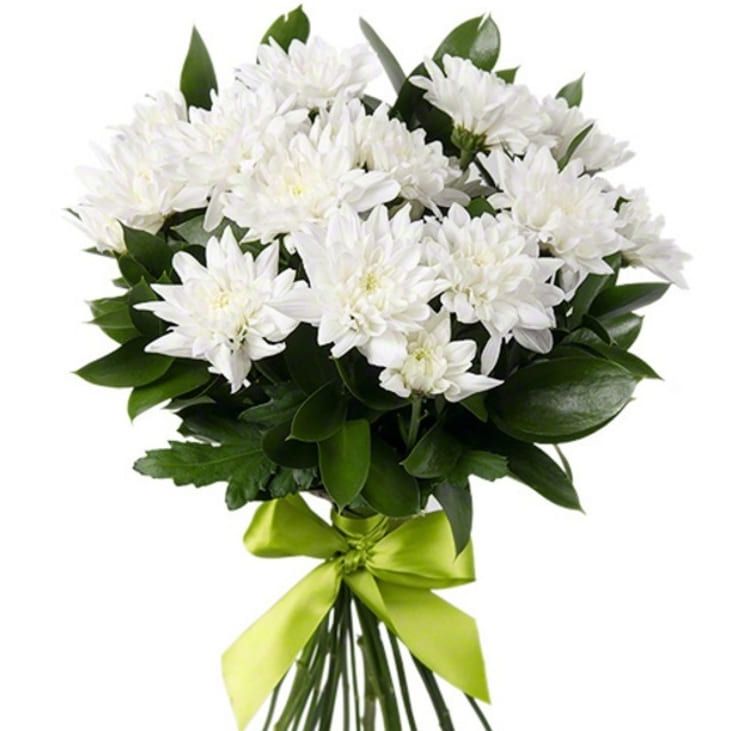 Мой сон от 4 780 руб.